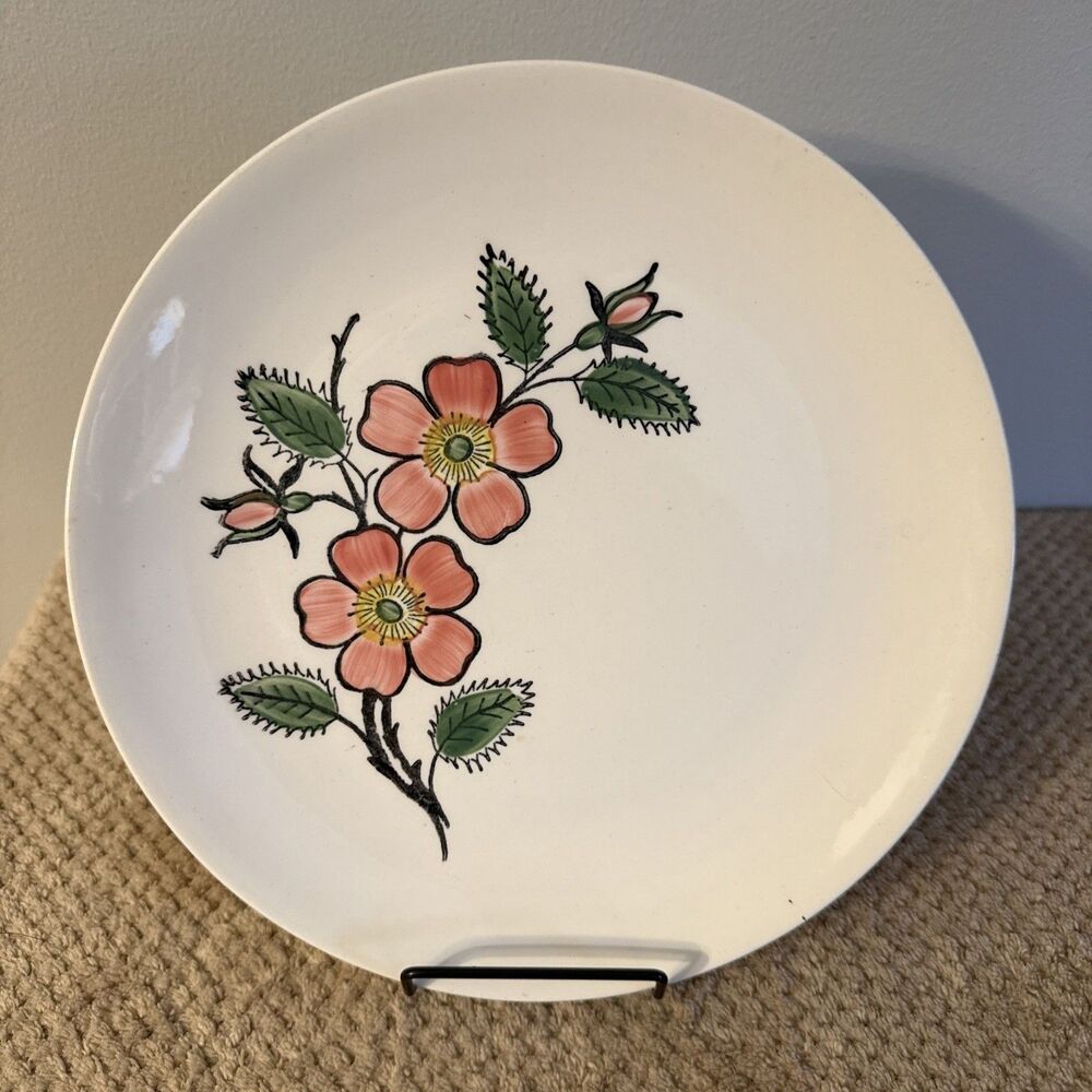 Blue Ridge Southern Potteries "Mountain Sweetbriar" Luncheon Plate 9 1/2"